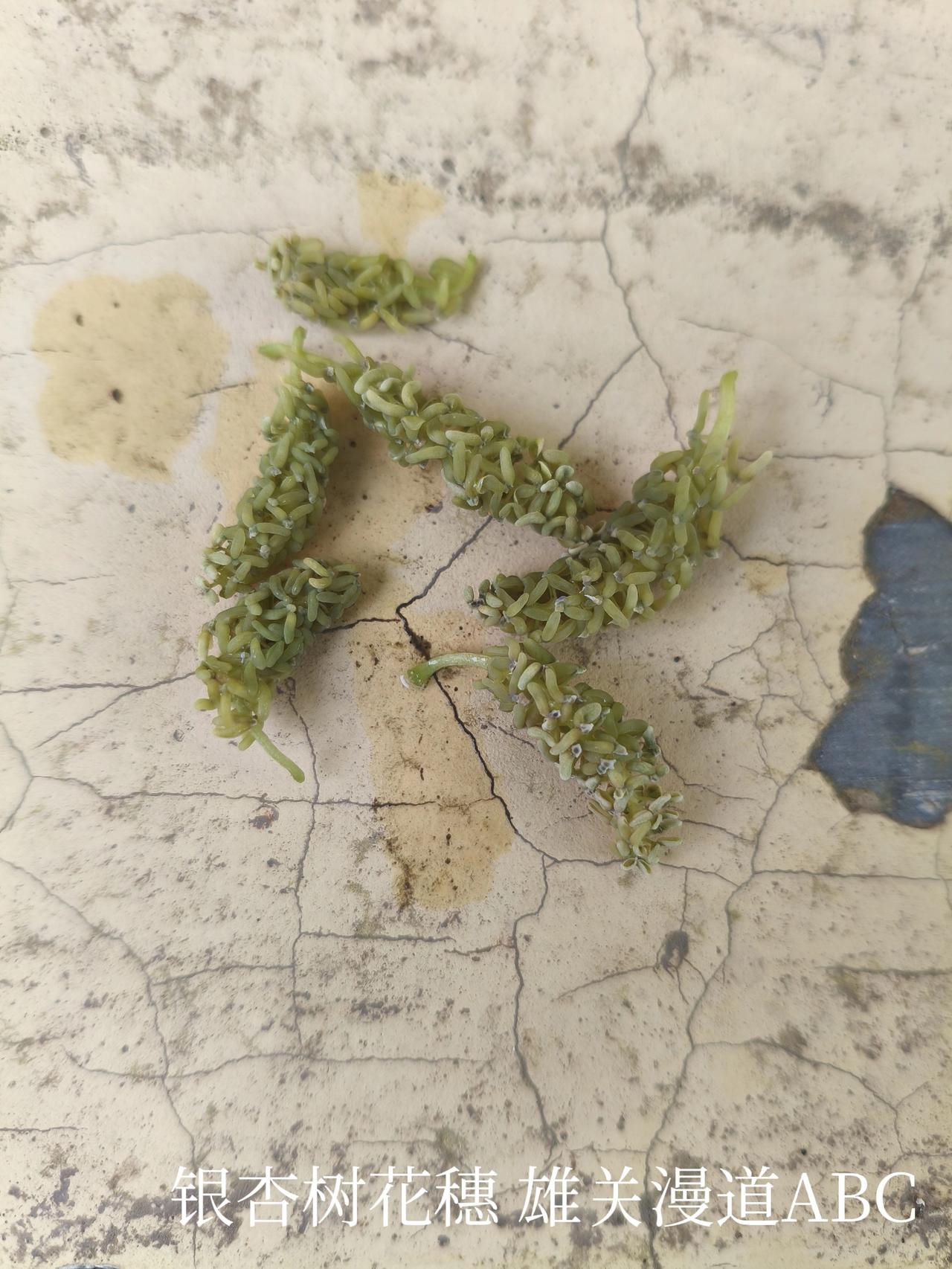 下边的这十八张图片，都是自己拍的，三年的时间，舍不得删除！
都有备注。
头条首发