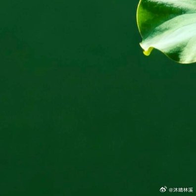 -我们不过是宇宙里的尘埃，时间长河里的水滴，所以大胆去做，不要怕，没有人在乎，就