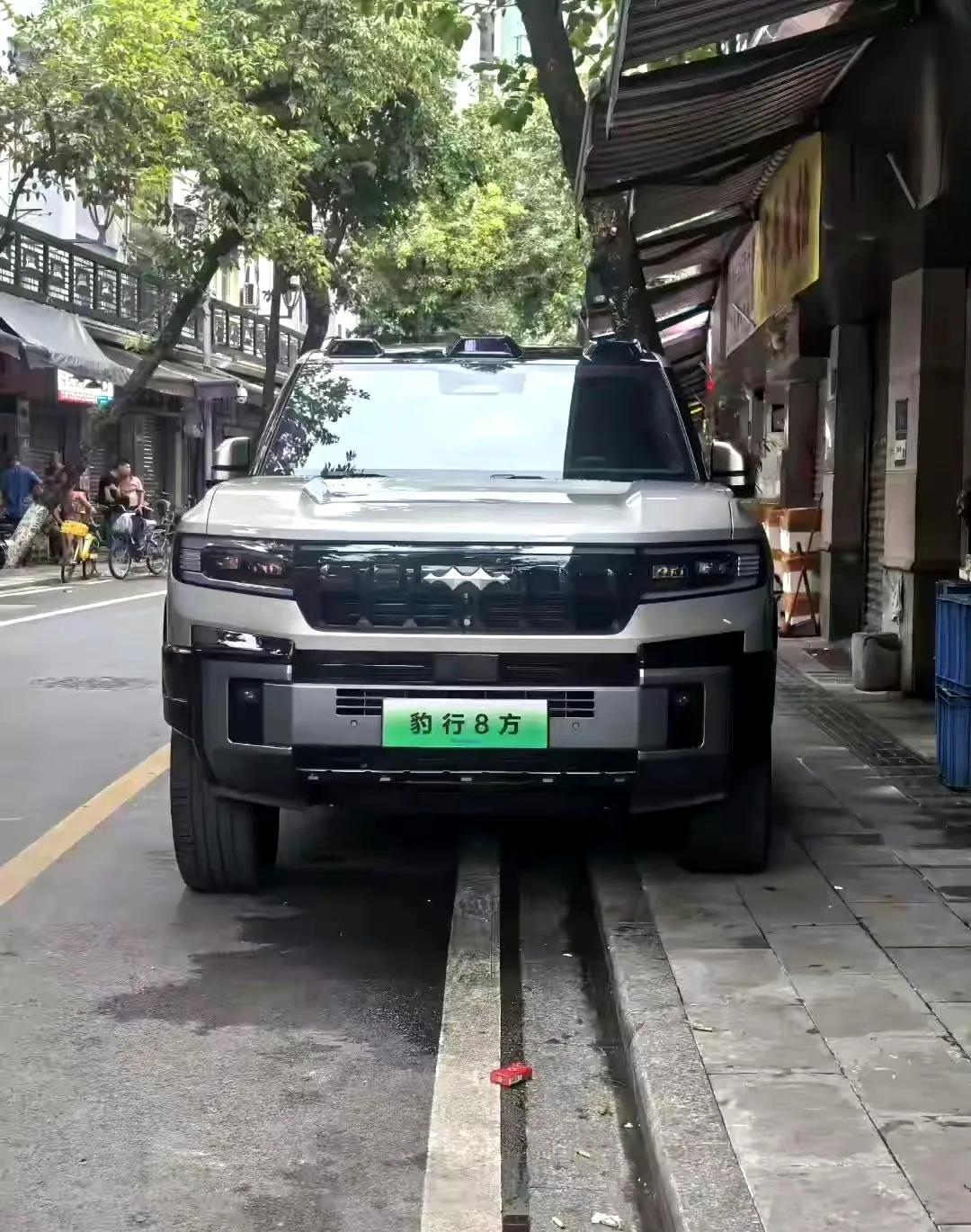 网友：方程豹如履平地，云辇P的具象化体现，你觉得咋样？