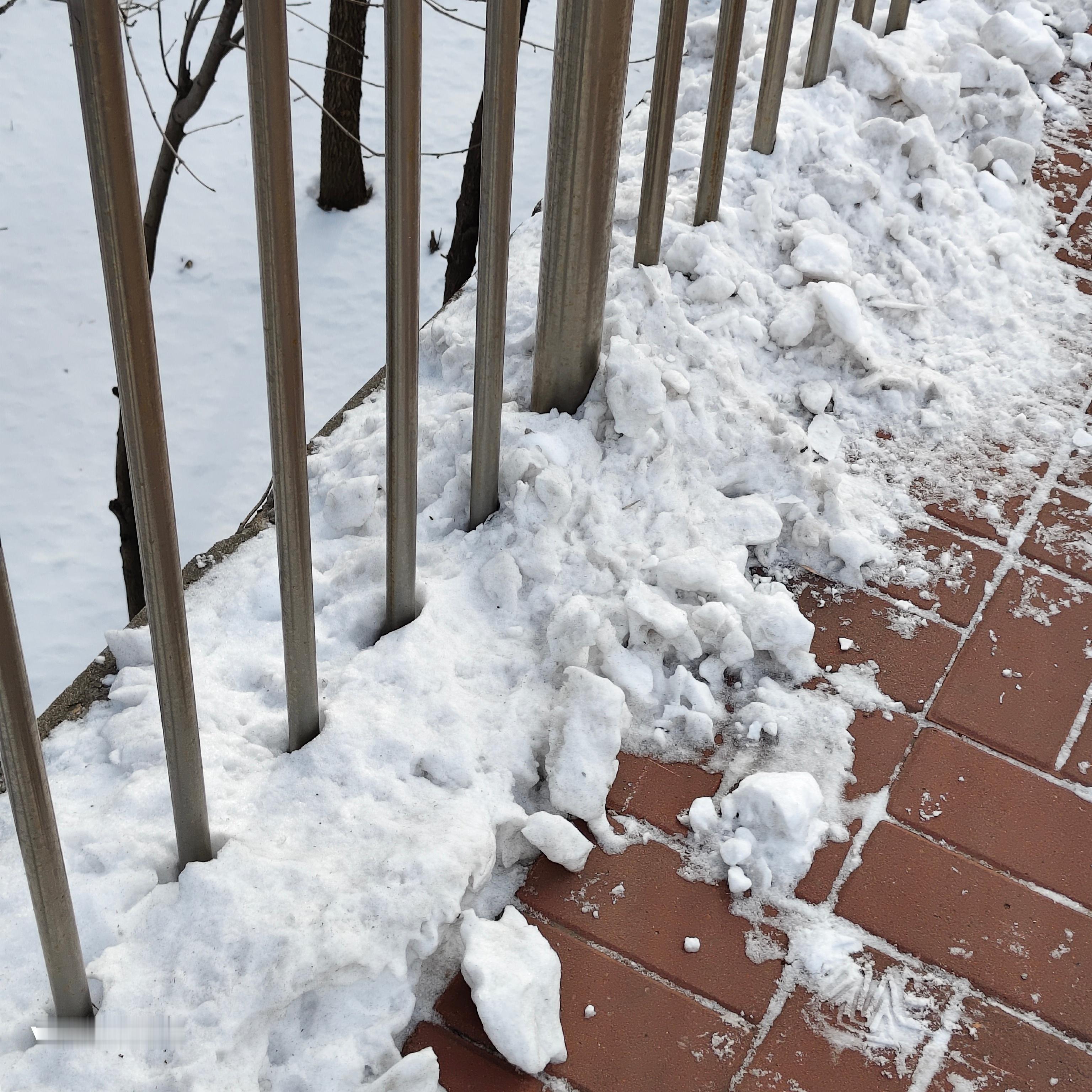 不知道什么时候开始讨厌冬天摸雪、踩雪，甚至是下雪的🌨️ 