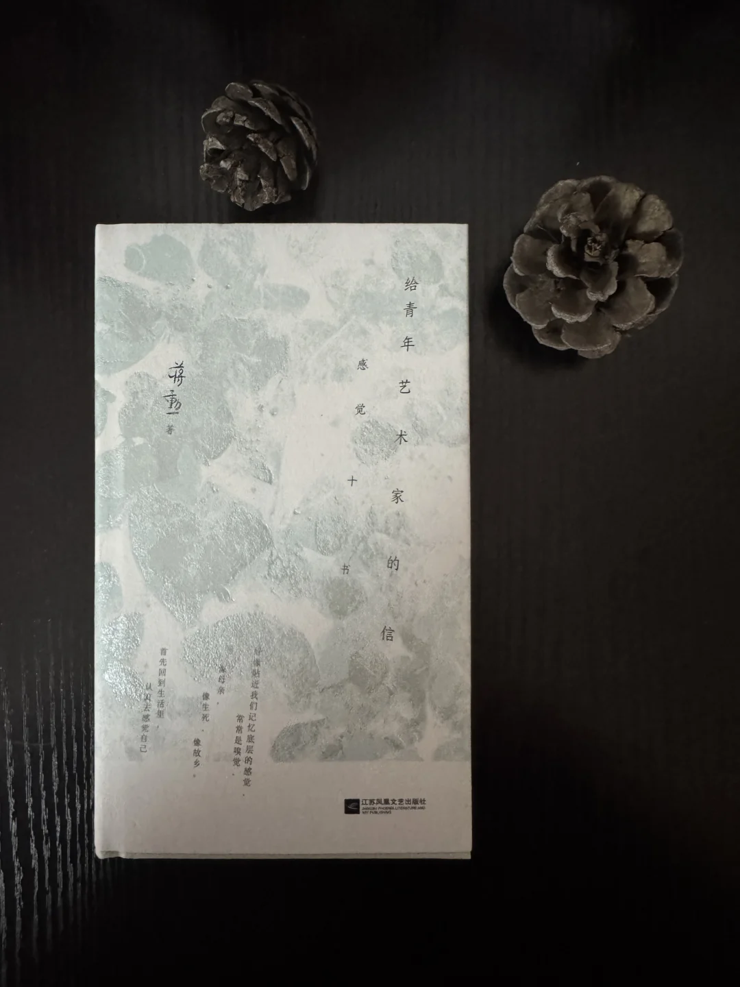 林青霞说蒋勋是她的“半颗安眠药”