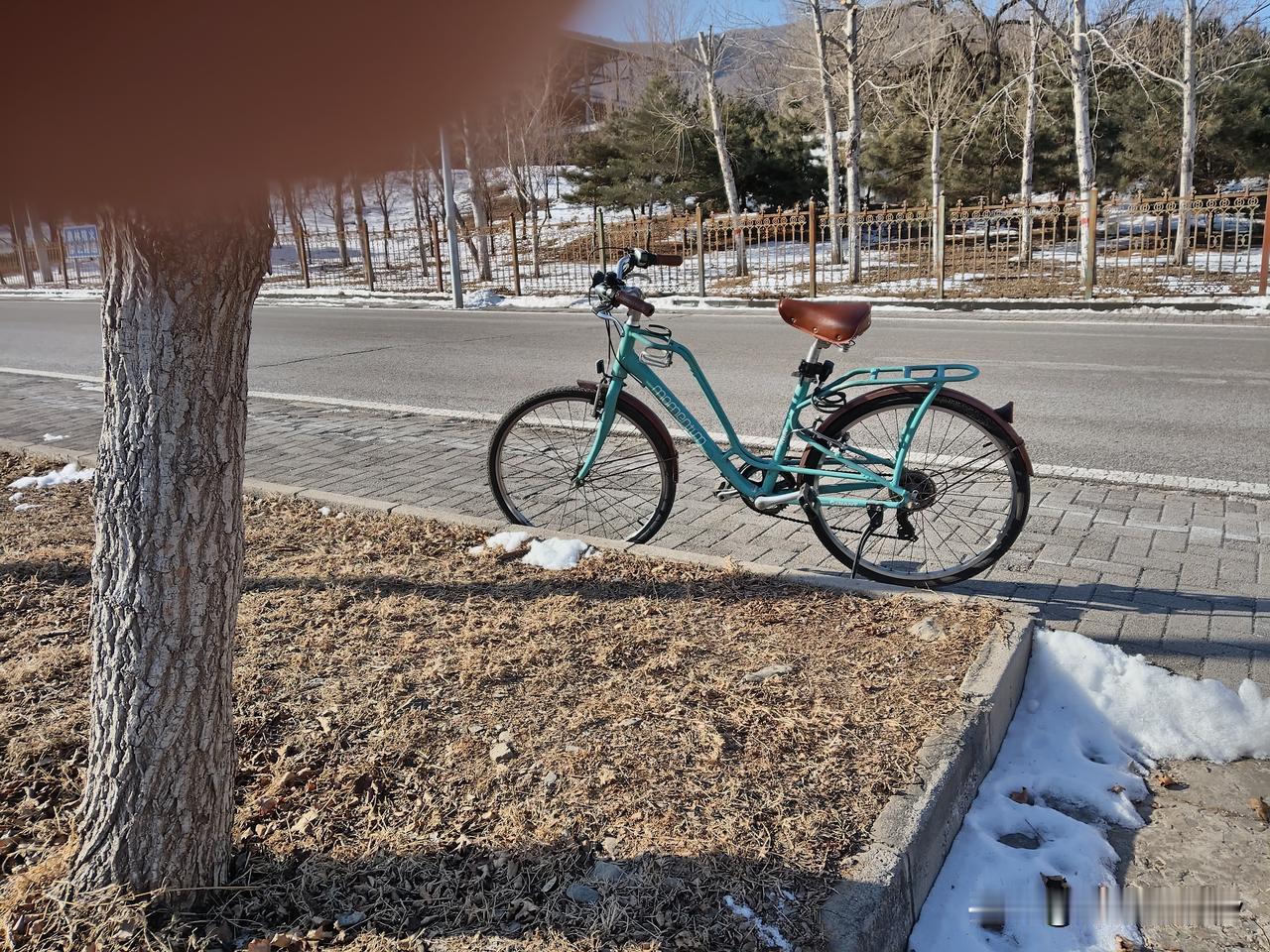 今日的上午，我居住附近的路边。坐在水渠护栏上，照下了这几张照片！感觉非常的好。