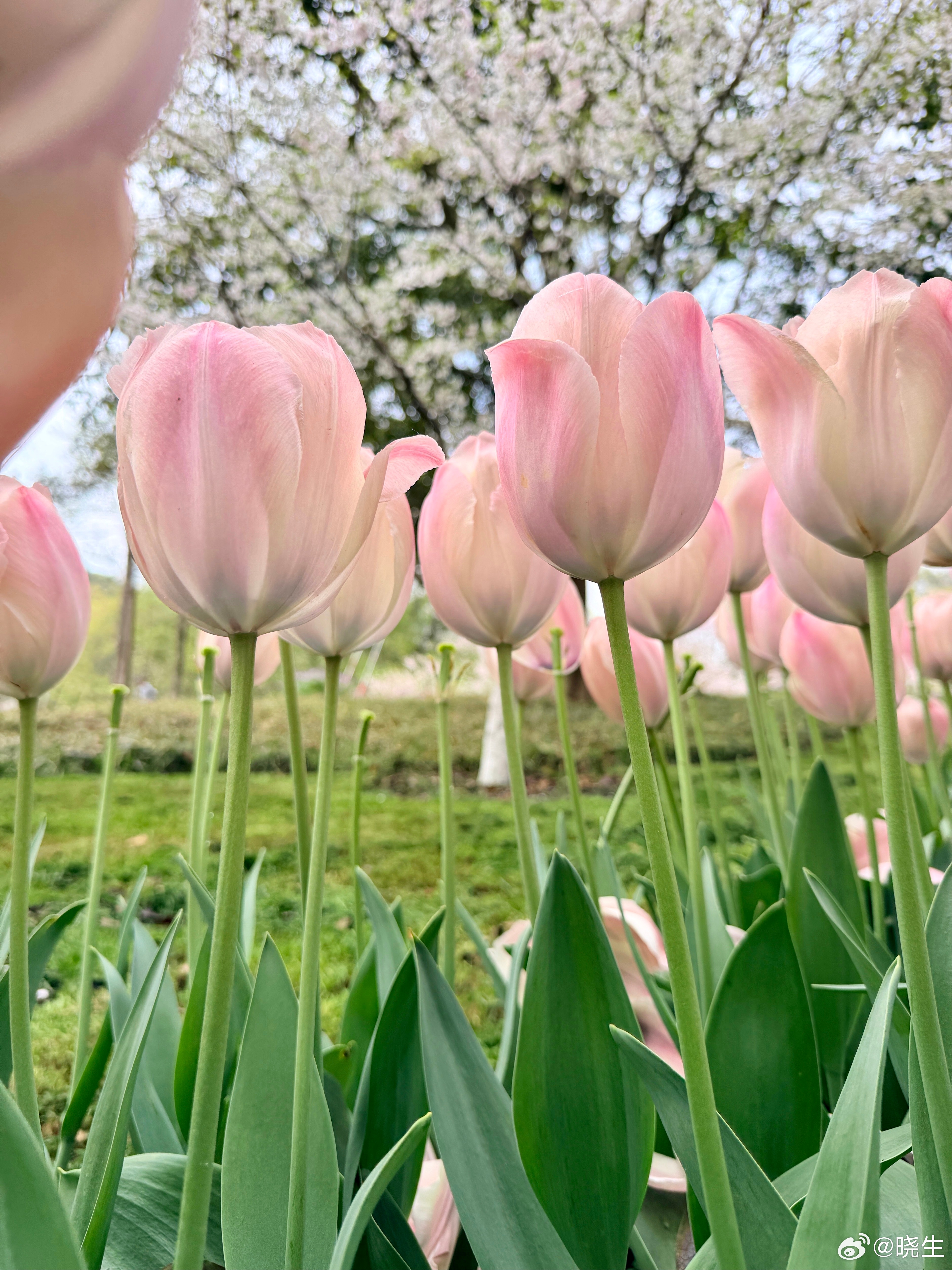 有时候大家对问题后知后觉，实际上忽略的都是生活中细节上的“小事”比如你给孩子发信