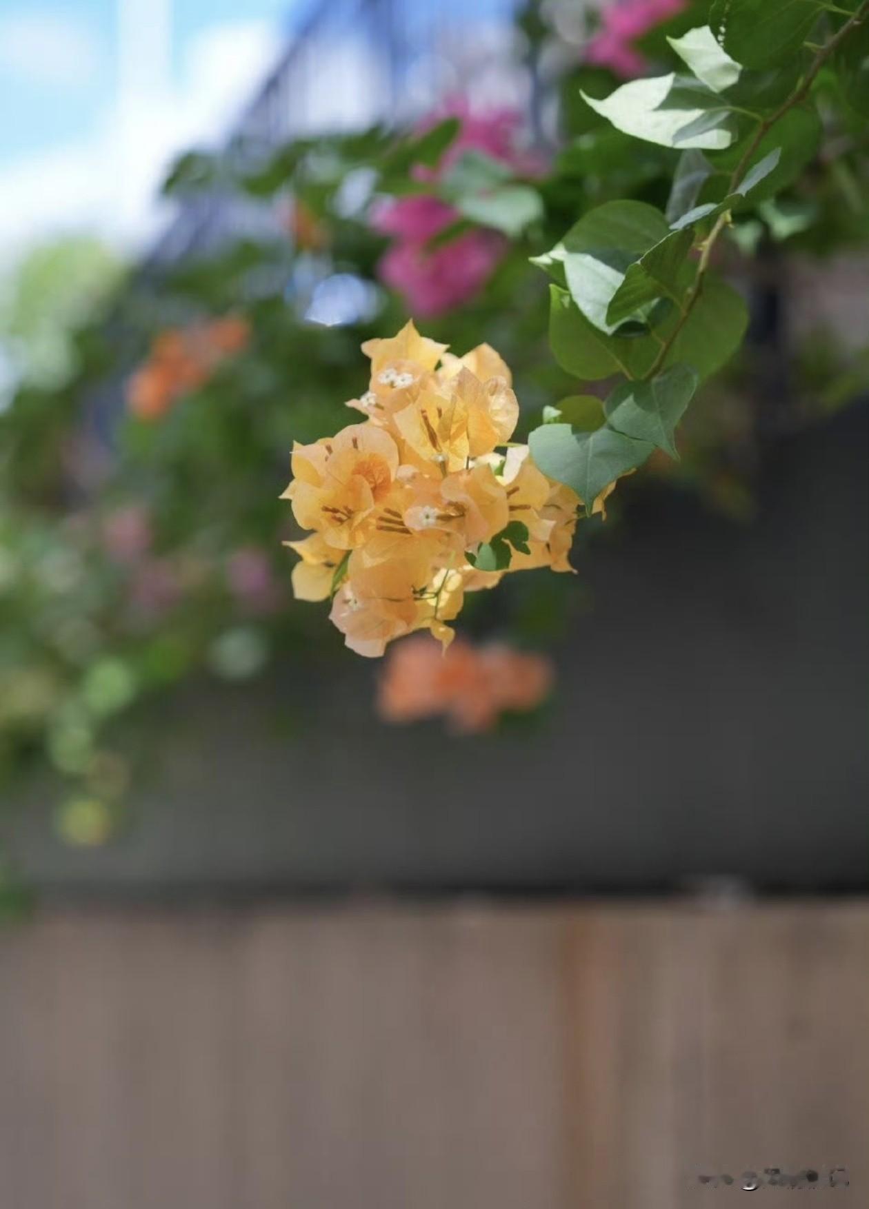 生活怎么会每天都一样

日子是重复的

但生活是新鲜的

别总盯着日历发愁

也