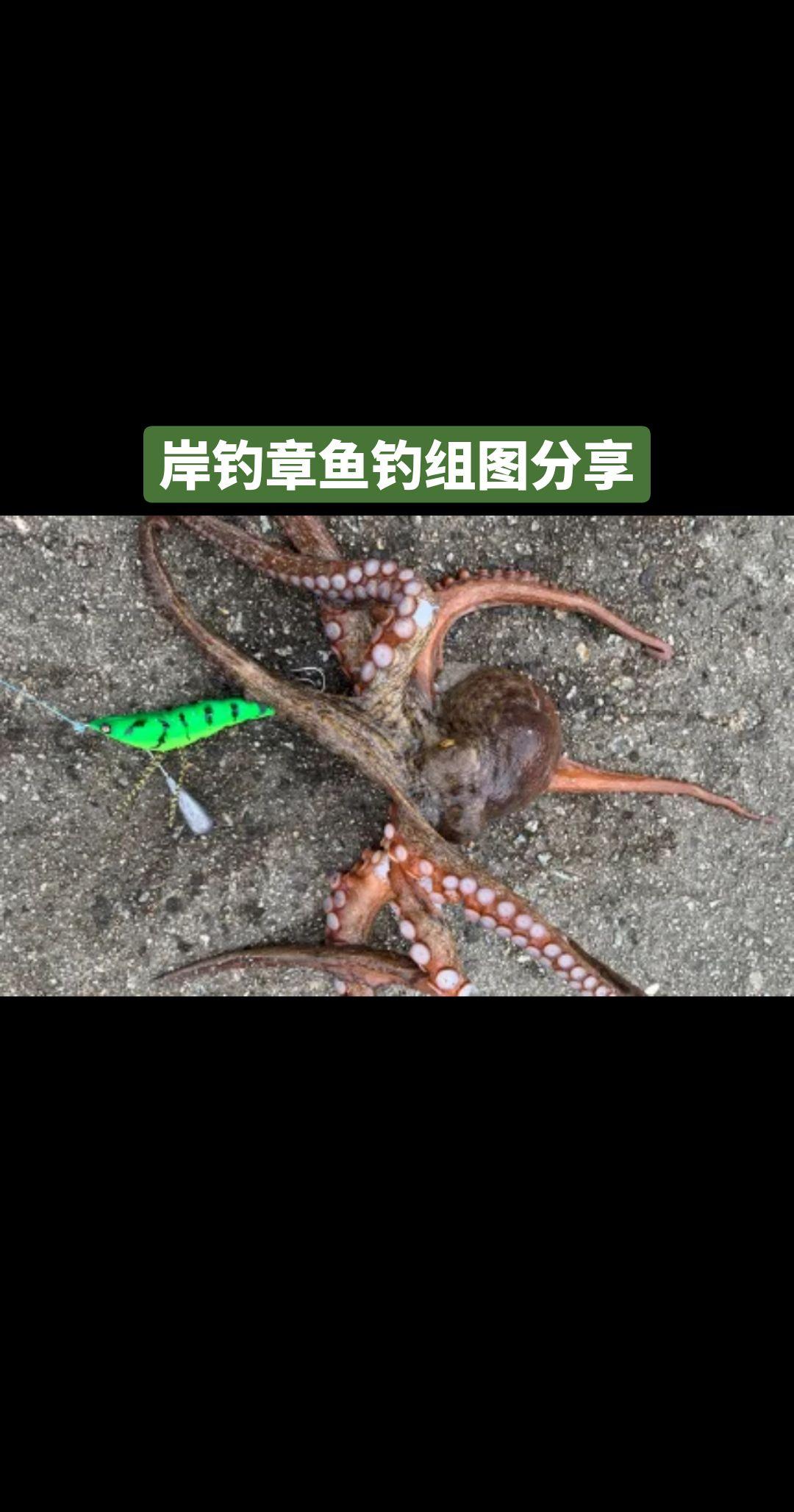 钓具知识搬运工！原来钓鱼才是抖音运动顶流 钓鱼🎣 爱生活爱钓鱼 钓鱼人