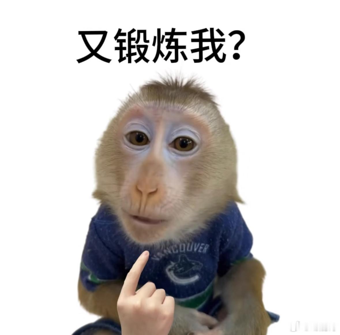 最尊重猴的剧组出现了 吗喽大闹众合实现经典联动，古今呼应的设定构思巧妙，简单的情