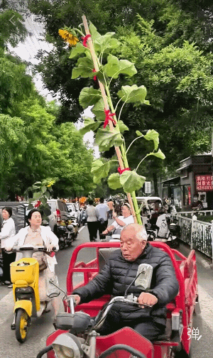 这是爷爷疼爱孩子的真心，这不是成绩好不好，这是老人对孩子的期待和盼望，愿孩子一举
