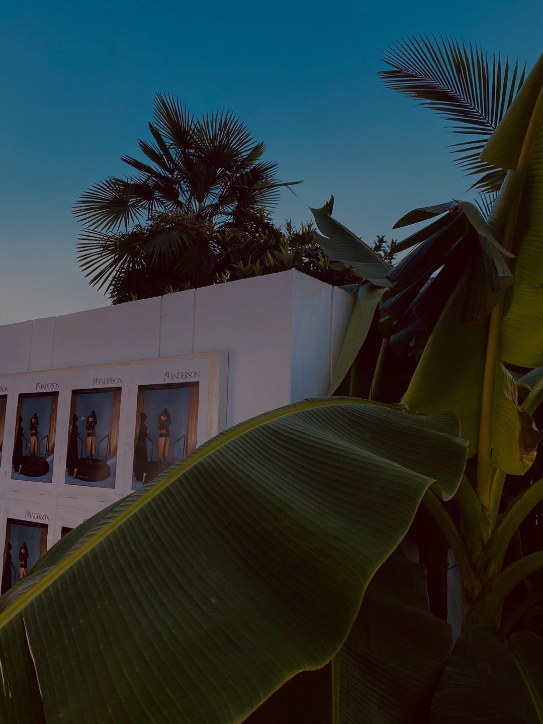 “上人生的旅途罢，前途很远，也很暗。  然而不要怕，不怕的人的面前才有路。”  