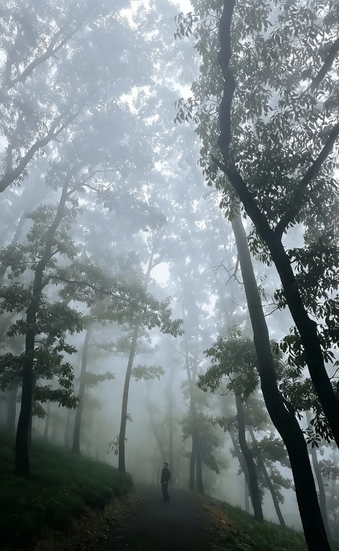 生活是一个需要主动维护的系统，这种维护包括和所有影响情绪的东西在一定程...