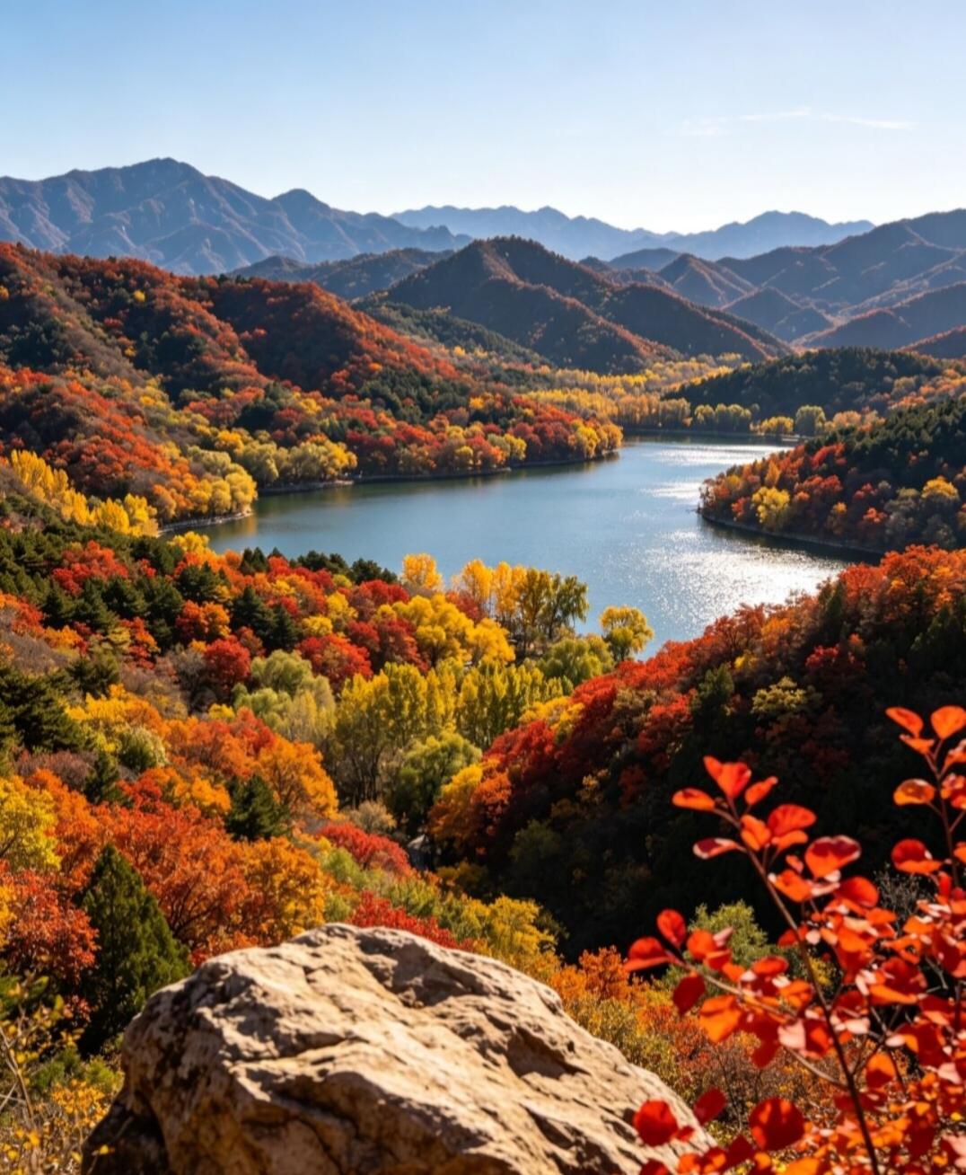 北京的秋日浪漫，从来不只在人挤人的香山！藏在丰台的千灵山，堪称京郊小众赏秋天花板