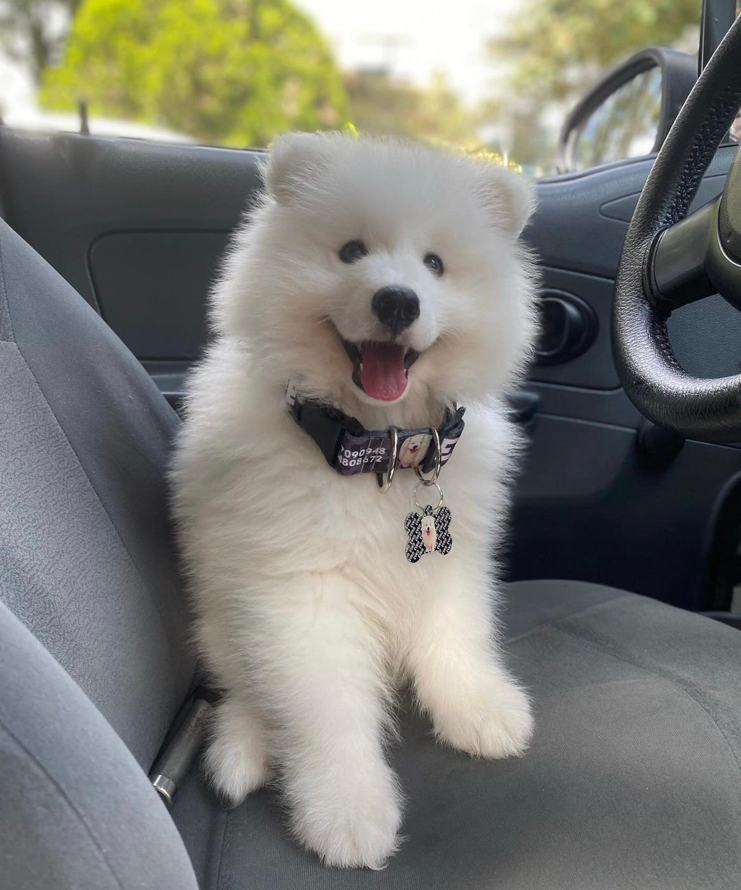 乘客你好,手机尾号多少耶？ 