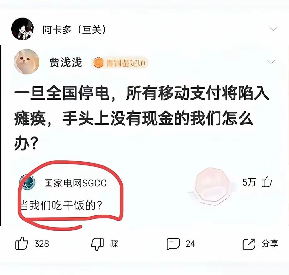 网友发问全国停电无现金咋办？国家电网一句回复，藏着满满的底气
 
刷到一条特别有