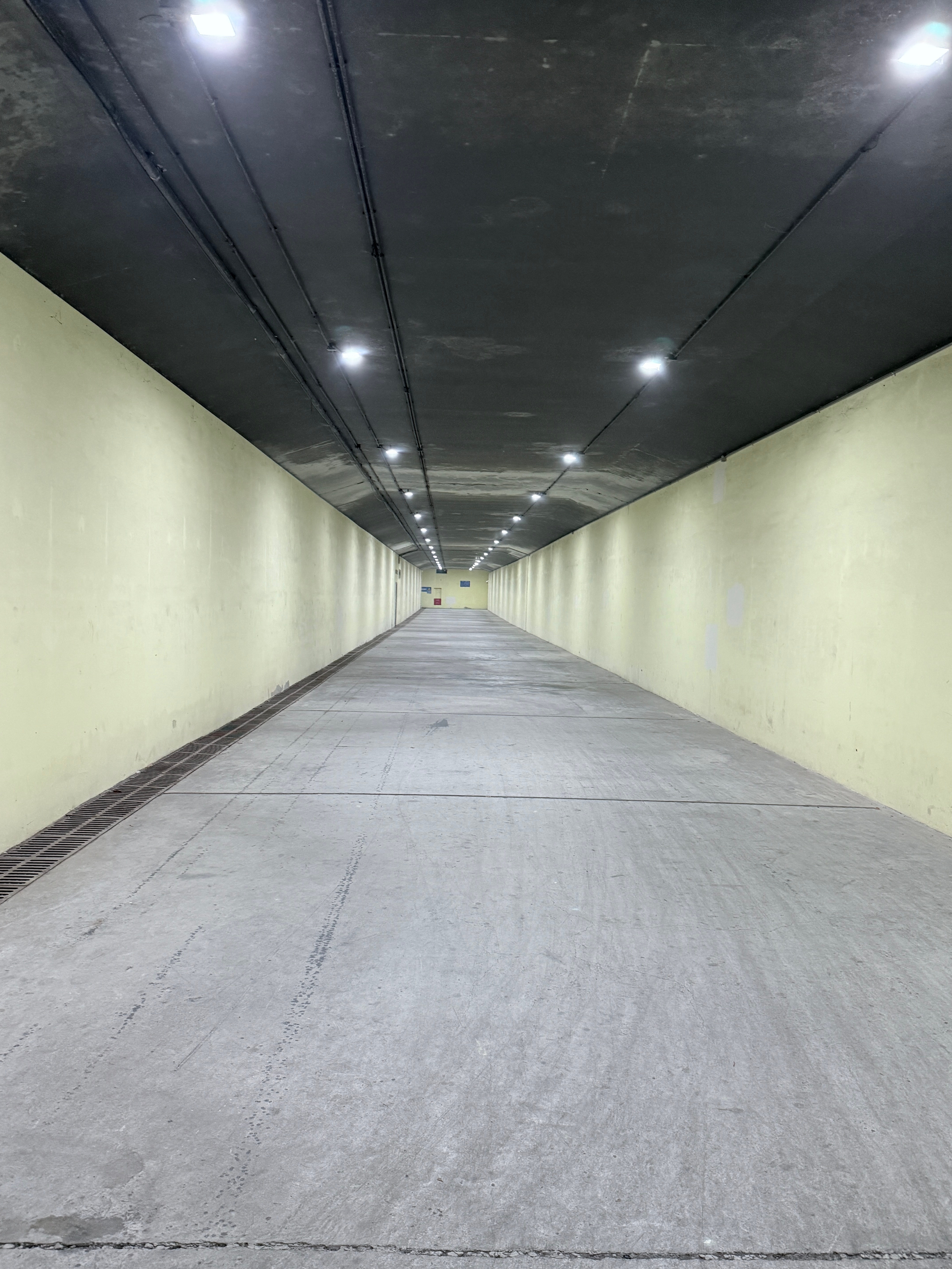 好想再迷路。 