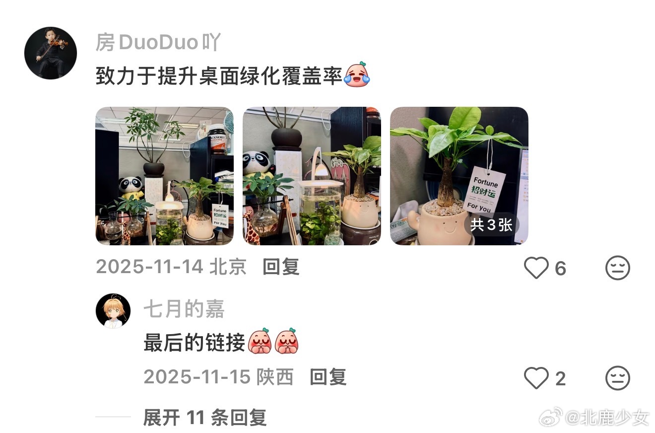 毕业后的丰容先从工位开始 