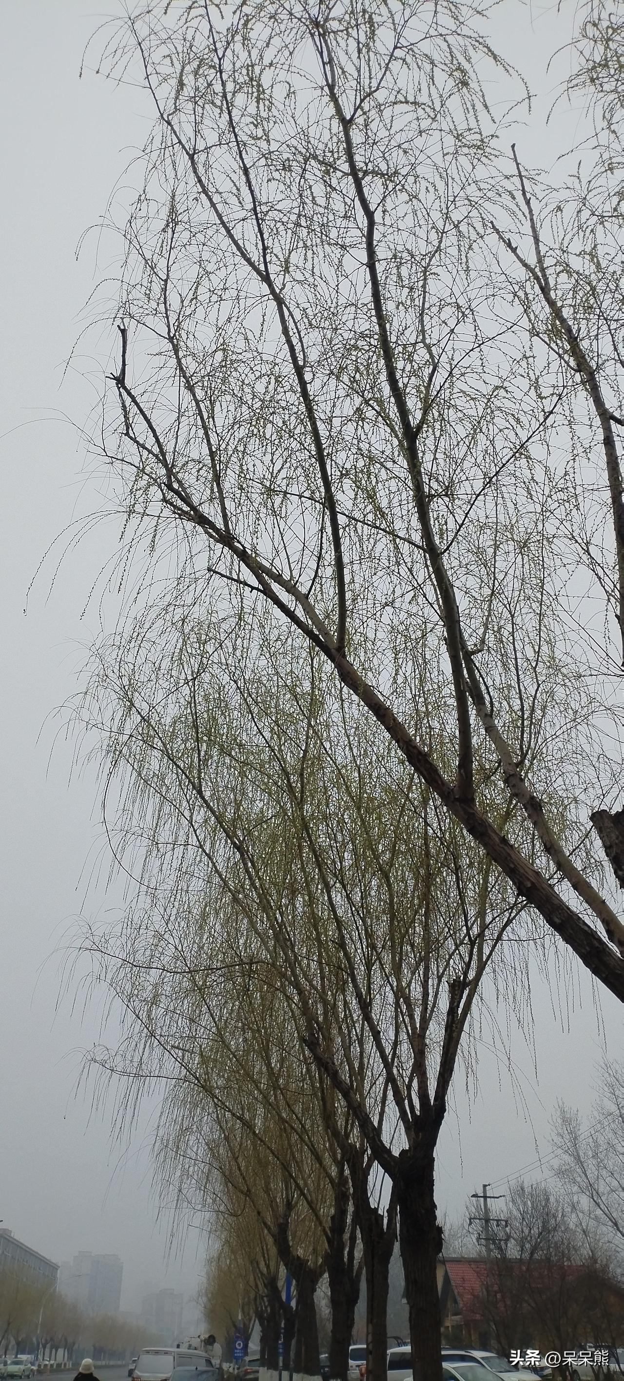 我追过很多剧，给我印象深刻的是红楼梦，为什么是红楼梦呢？因为其他电视剧我看一遍我