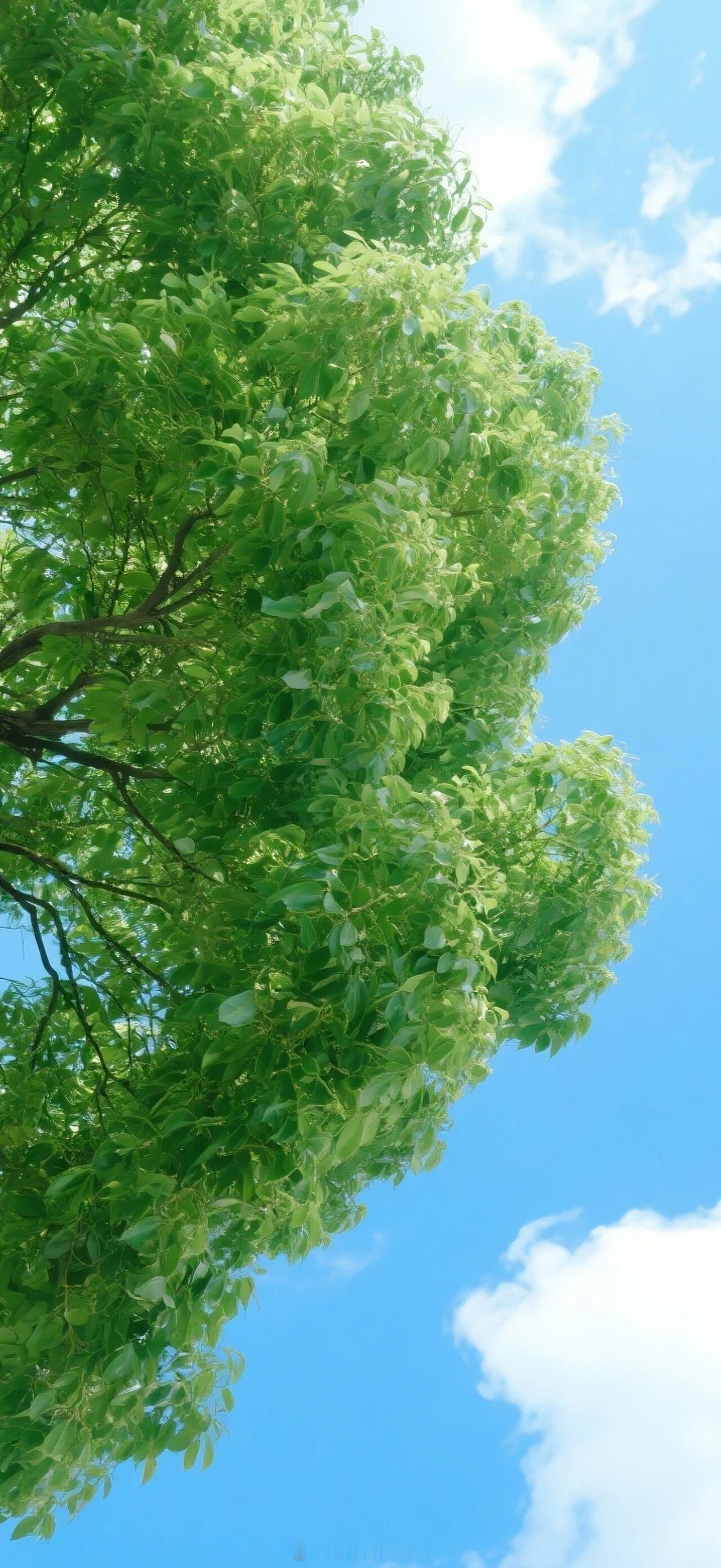 你是我的理想，也是我热爱这个世界的唯一理由。——《在暴戾的他怀里撒个娇》早安