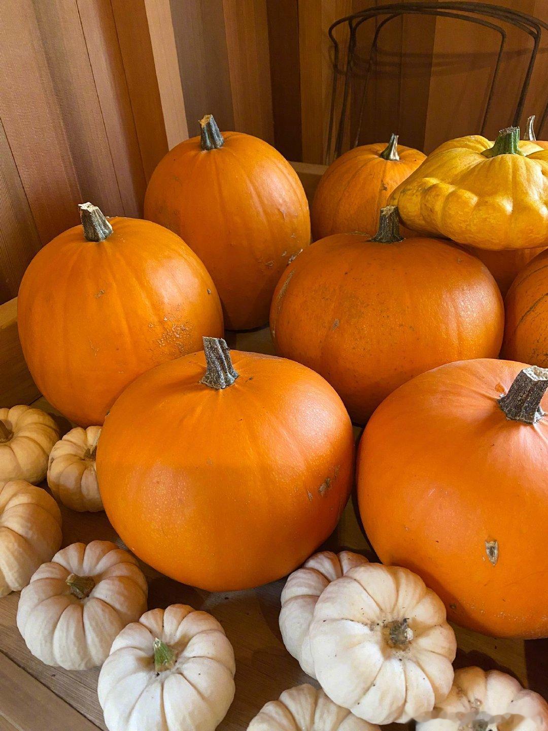 All set with pumpkins for the festival t