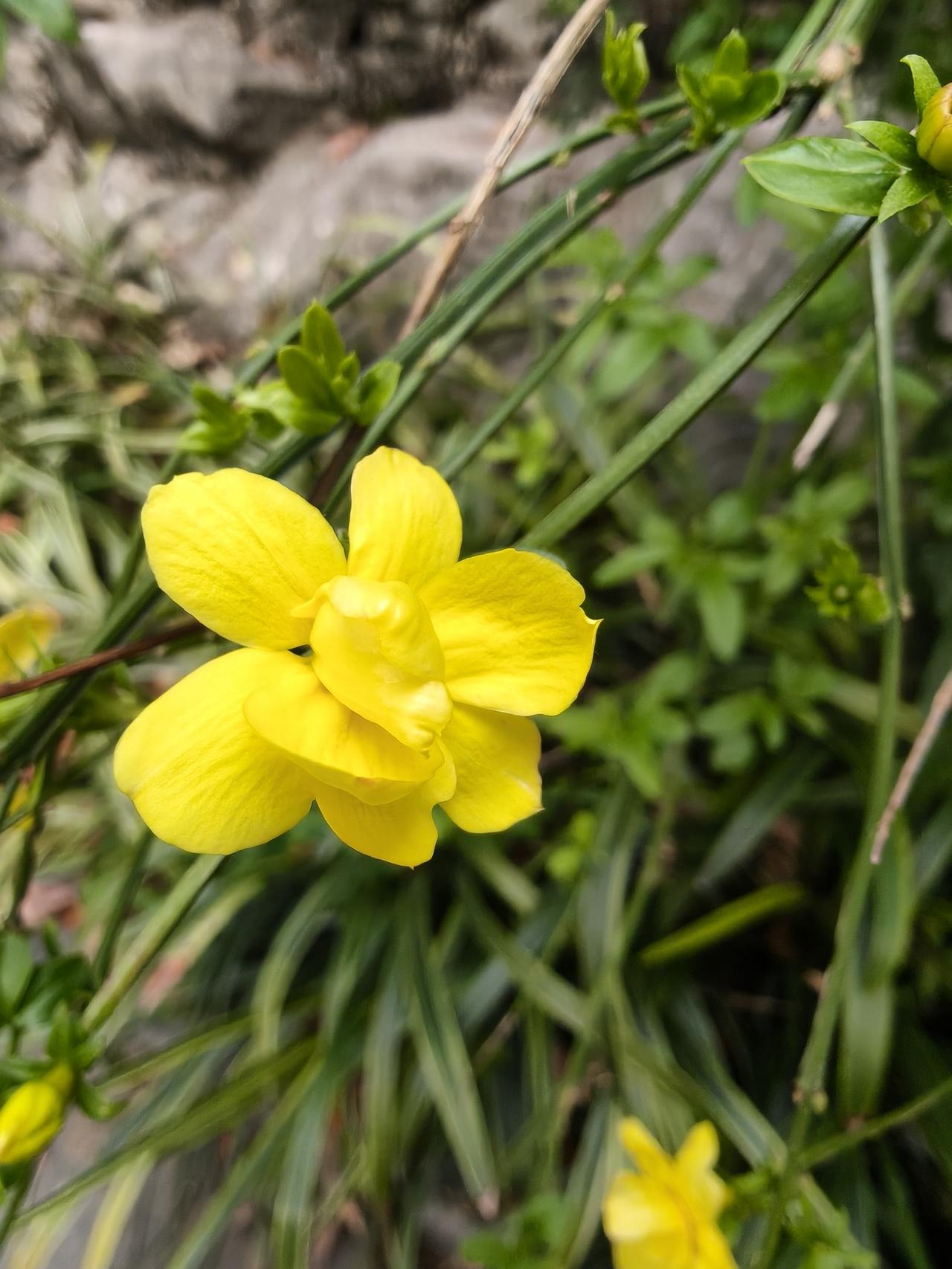 ☀️ ⌇🥳🌸✌︎😊✌︎𖠚ᐝ𓂃 𓂂𓈒𓏸生活琐碎，随心就好，去感受温