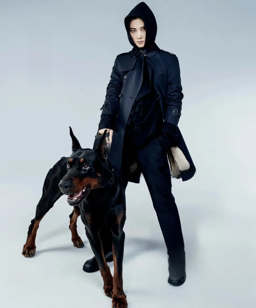 人生在世  权威二字。