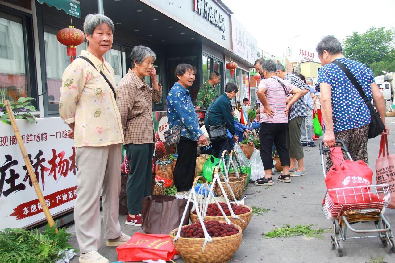 宁波江北连续十年开设杨梅集市实现杨梅自由 宁波江北庄桥杨梅集市已开办十年，今年集