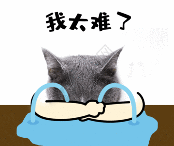 姐妹踢踢我 养养娃 它感觉要废掉了伤心难过每一天