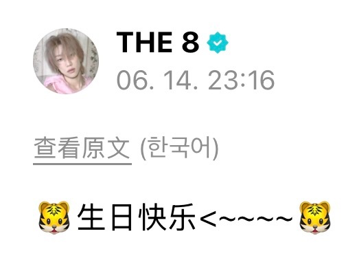 好猫好狗🫳🫳🫳 