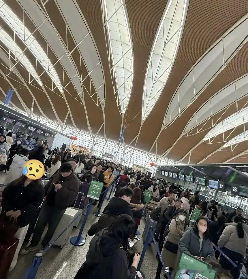 在中国的日本人，之所以不走，
不是因为走不了，而是压根儿就没想走，就在中国的日本