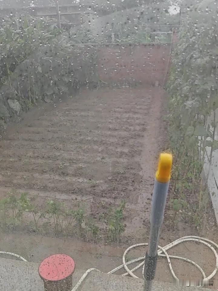 知道今年女人为啥都穿裤子了吧？
因为，穿不了裙子。
今年的夏天，太诡异了，从开春