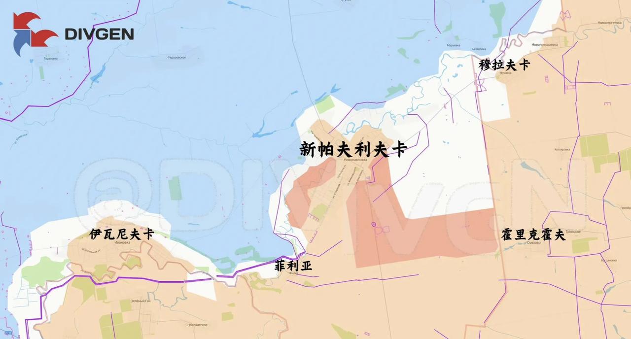 第聂伯罗彼得罗夫斯克州的新帕夫利夫卡被俄军中部集群完全占了，正在拉平战线。乌军的