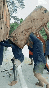 且行且珍惜，
珍惜现在的生活，
至少你不用那么累。