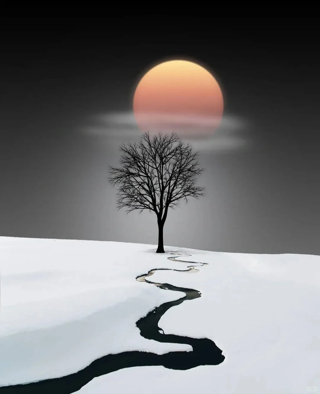 【摄影审美提升】-Kathrin 摄影作品分析