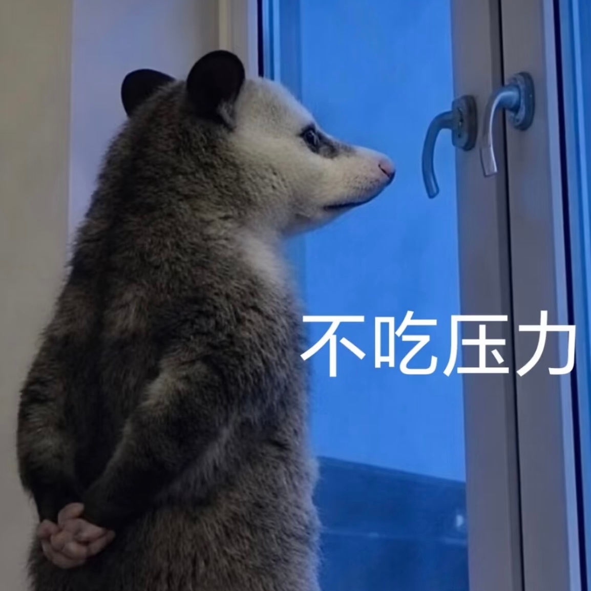 小墨子这么爱cue东方青苍那就大接特接苍帝同款独爆 