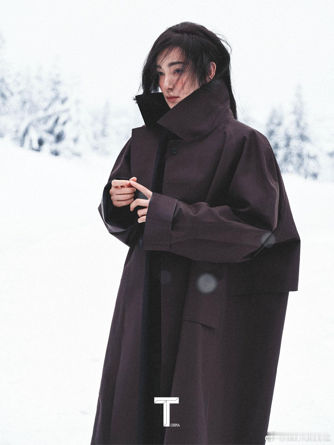 李冰冰冻伤妆 啊啊啊啊啊啊啊啊，不愧是李冰冰啊，站在雪地里，穿的好单薄，让人眼前