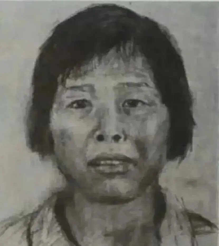 申军良称做梦都在抓梅姨【申军良坚信梅姨存在并把她写进书里，称“连做梦都在抓梅姨”