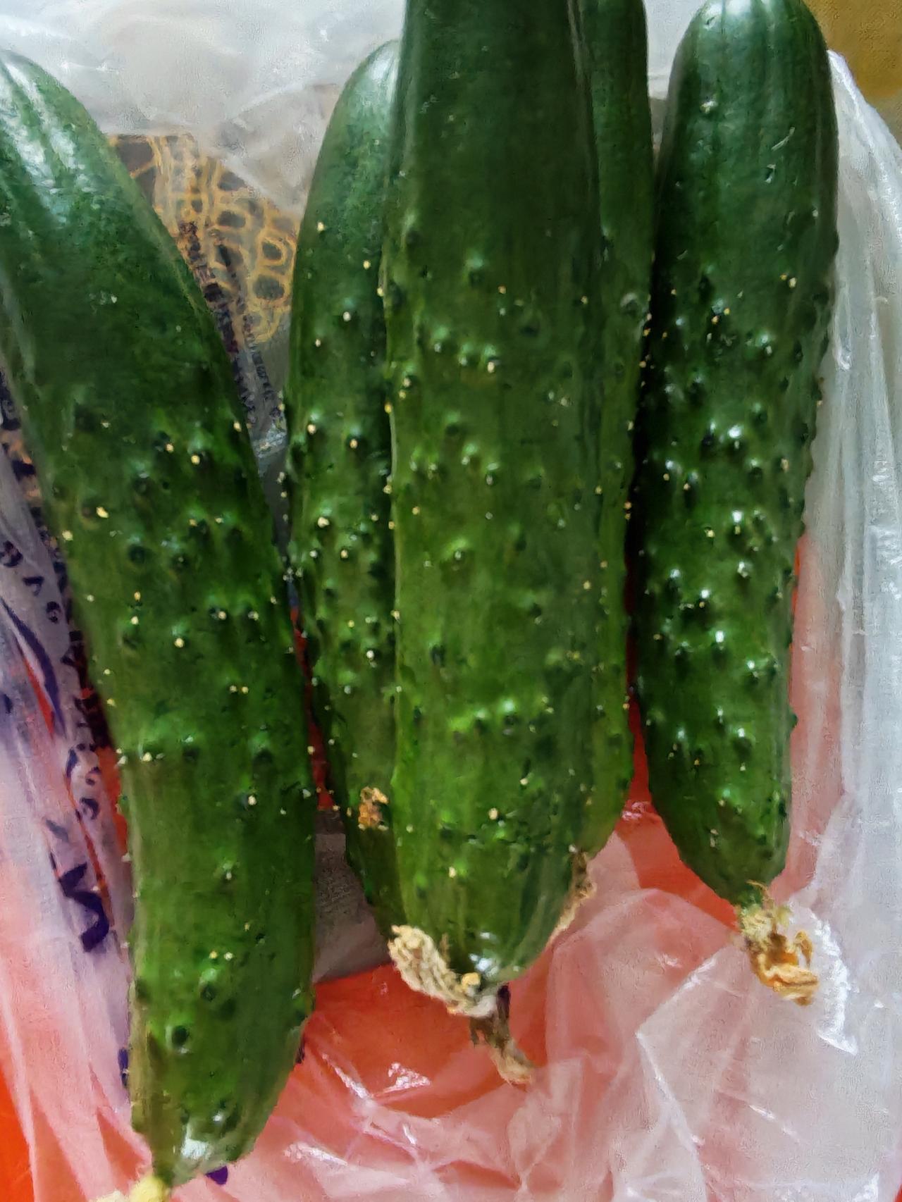现在黄瓜多少钱1斤，茄子多少钱1斤？
刚才在长春街的地摊买了5根黄瓜，3个茄子，