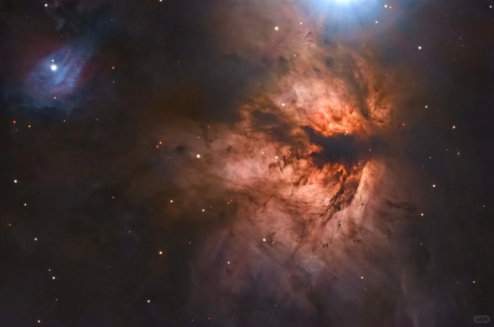 用一张NGC2024火树星云，告别2024