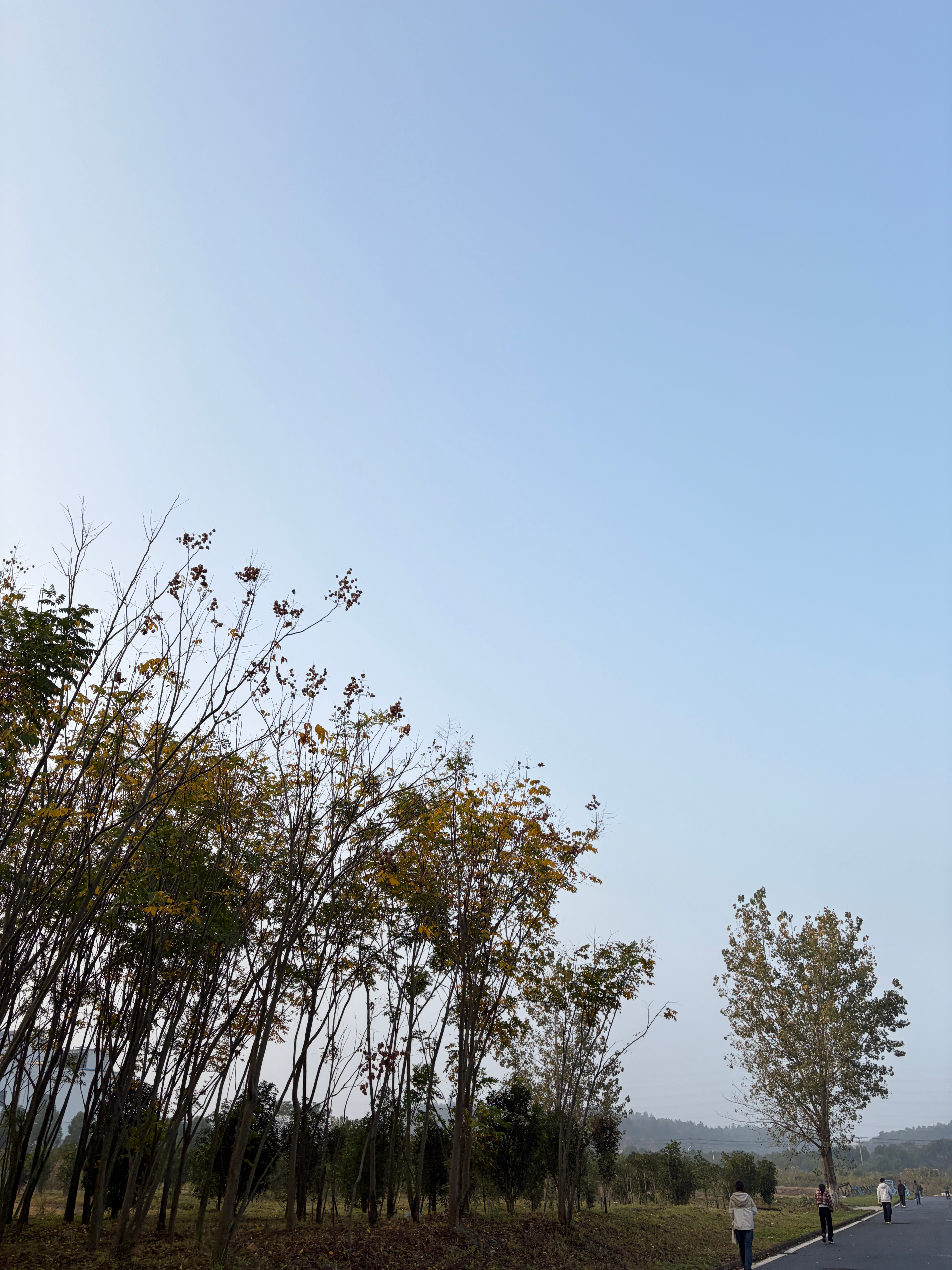 早安[太阳][太阳][太阳]努力拼搏的过程中，我们不断汲取经验，挑战自我极限，通