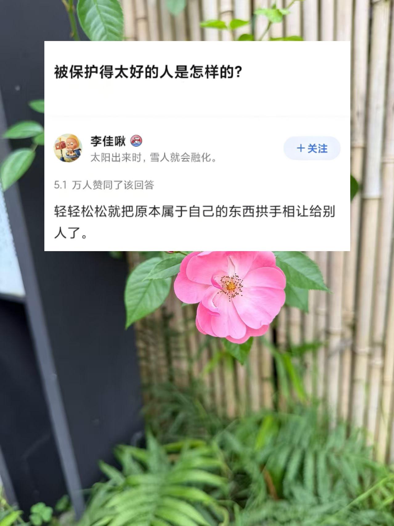 被保护得太好的人是怎样的？。