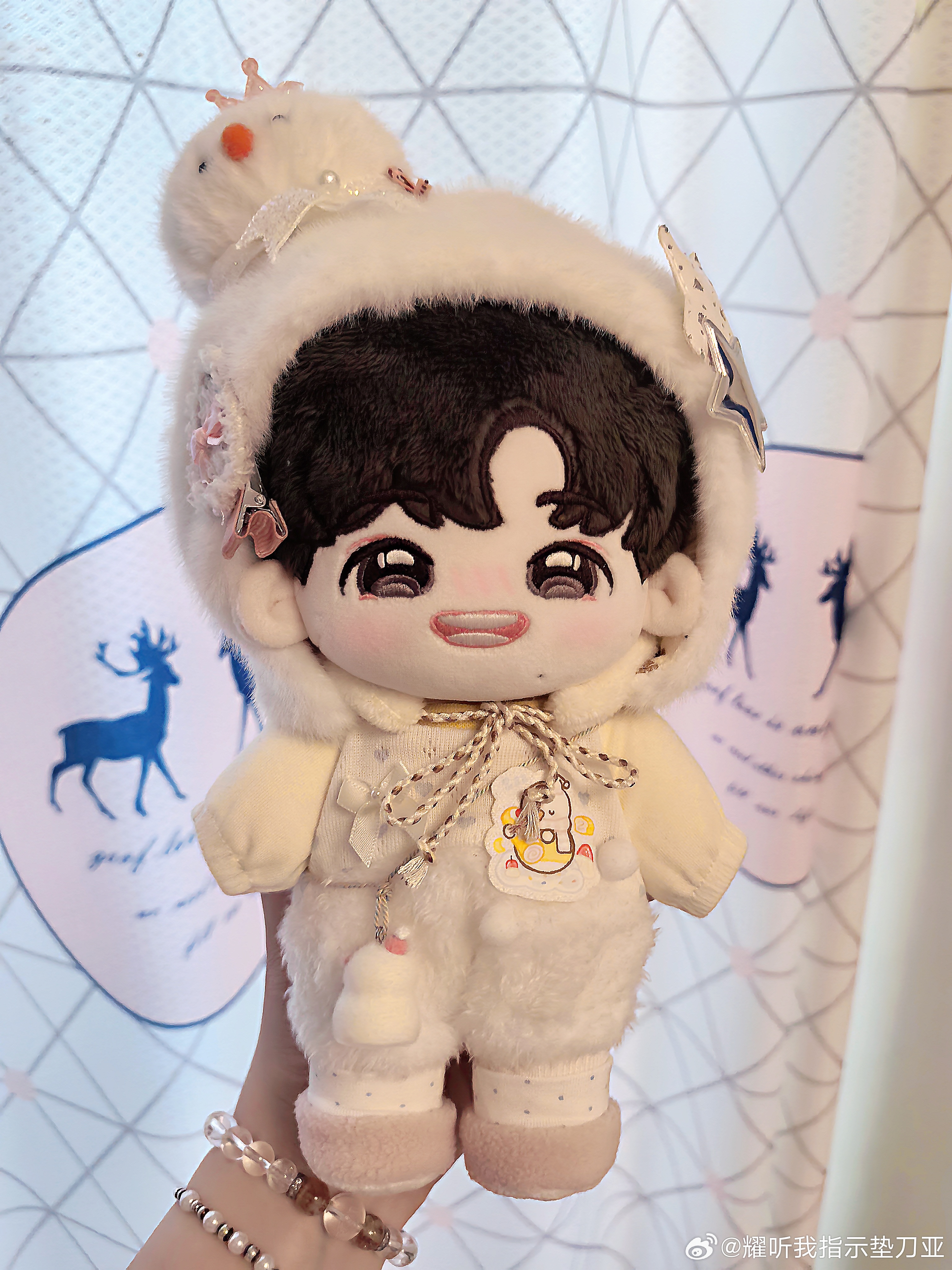 小雪宝 