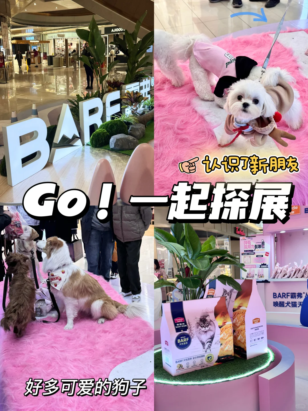 yabi！是幸福小狗开心打卡的一天呀～