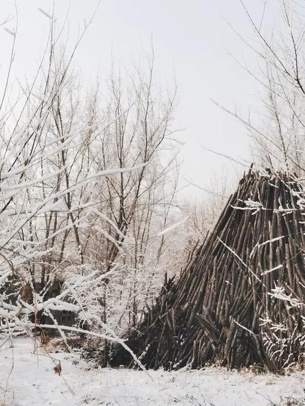 冬日生活：一份温暖与宁静的诗意

冬天，总带着一种特别的韵味。寒风萧瑟，白雪皑皑