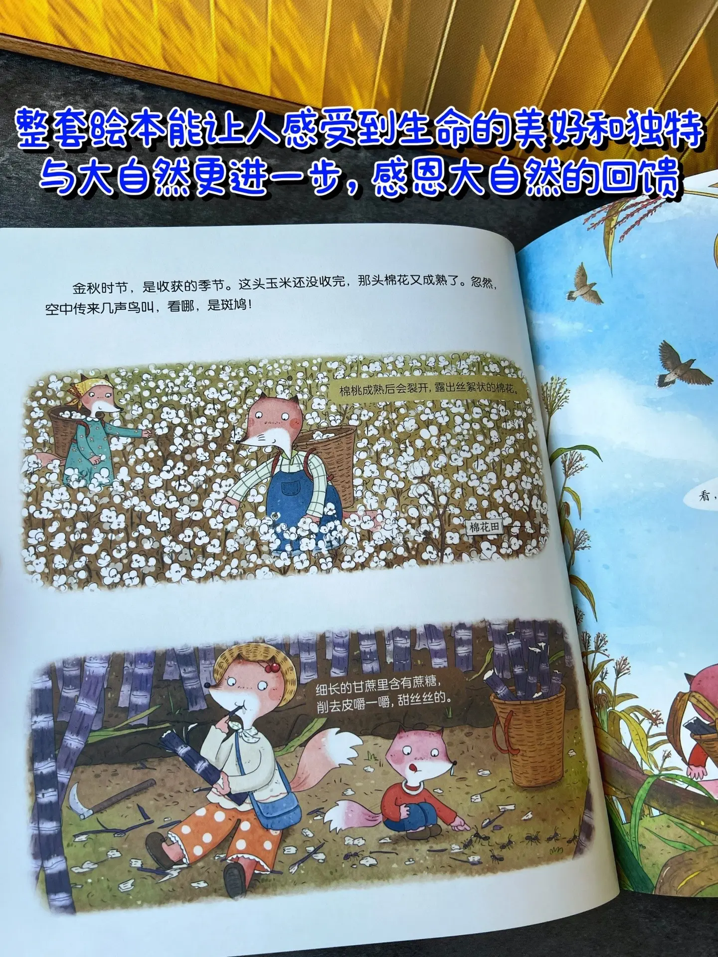 一定要陪孩子看看这套优质绘本，太治愈了～完全还原了爸妈小时候的样子，春...