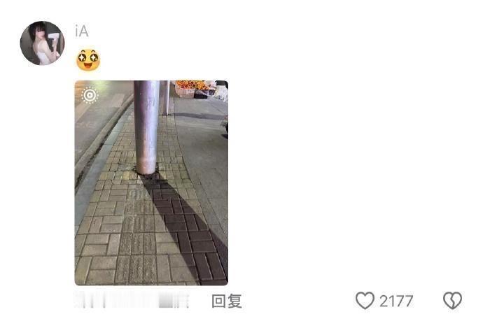 此人的懒商恐怕在我之上 