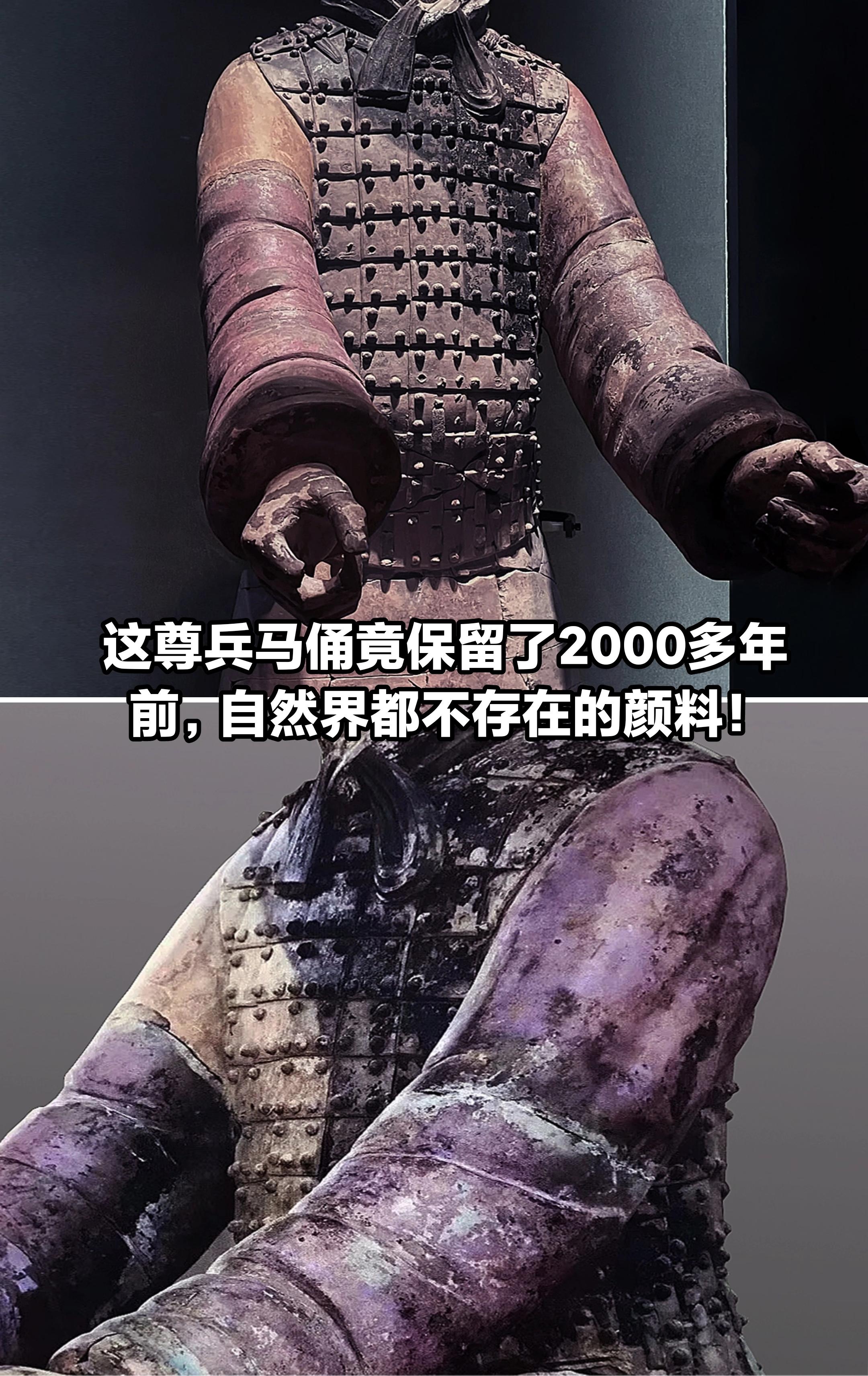 这颜料在自然界未发现天然存在！紫衣御手俑。