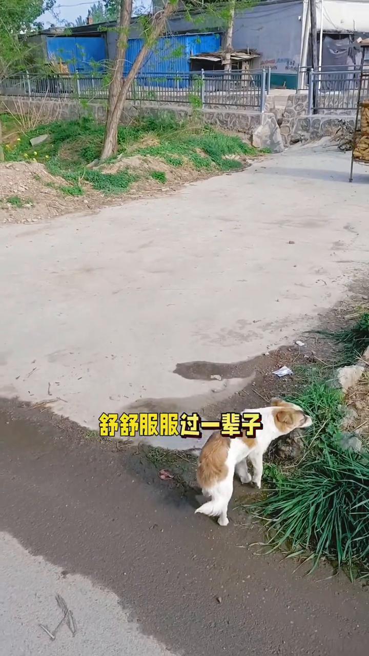 人其实瞎活着就行，什么也别多想。人生一共就3万天，活1天就赚1天，高兴一秒就赚一