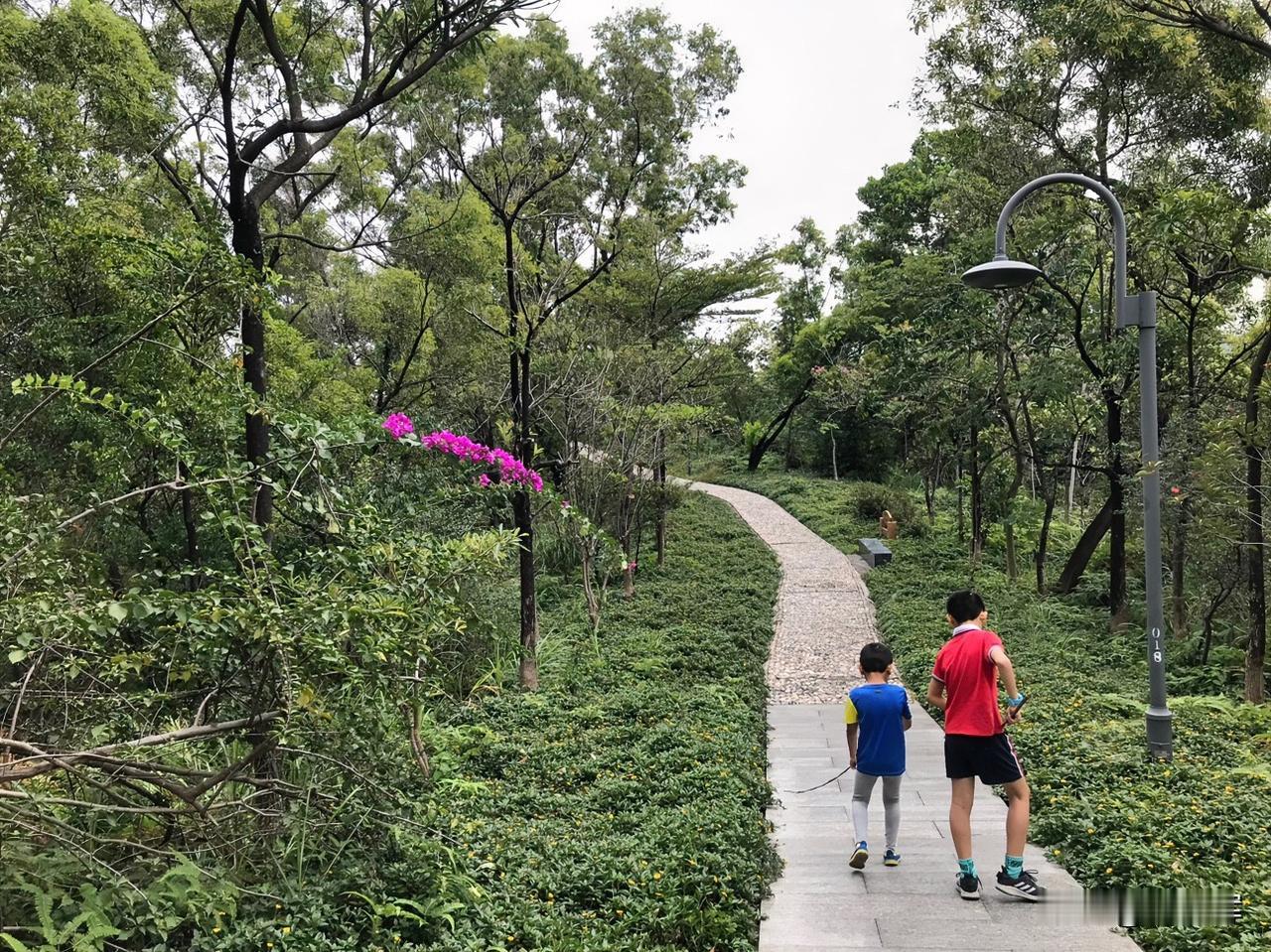 （1397）：孩子，早上好。一场秋雨一场寒，明显感觉今天的气温下降，空气湿润而凉