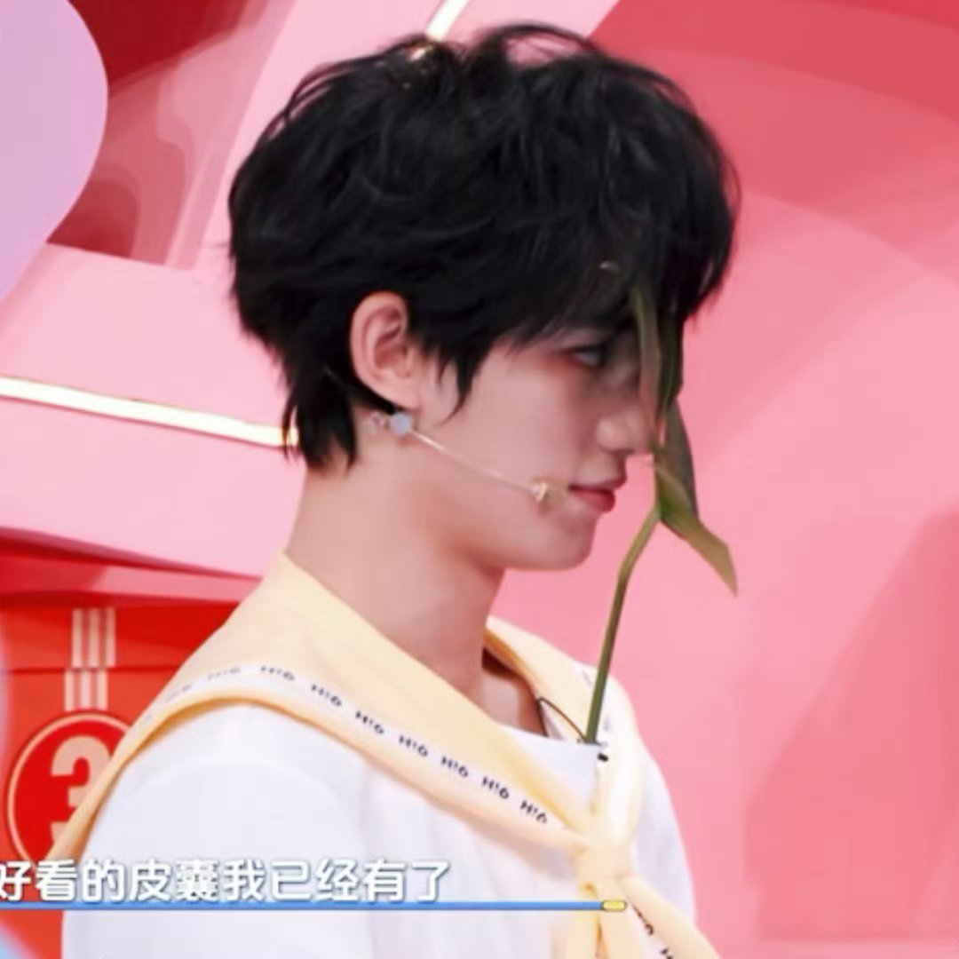 丁程鑫的脸就一片叶子大丁程鑫的脸和叶子一样大 看丁程鑫用叶子挡脸，一片就够了，这