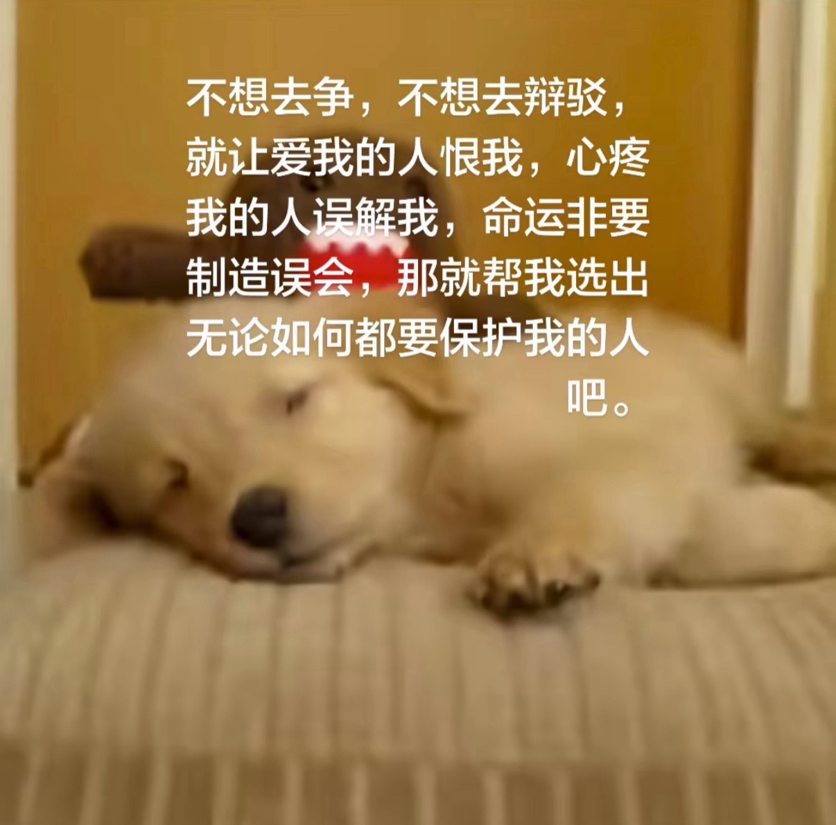 分享图片 ​​​