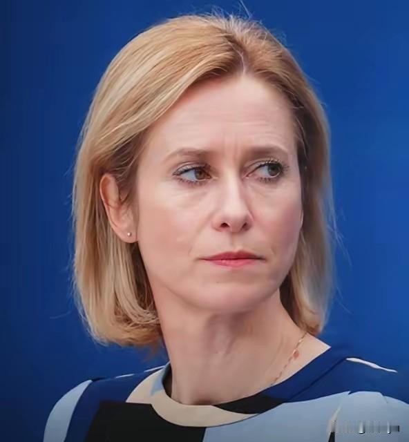 欧盟外长卡拉斯指责美国已经一年多没有支持乌克兰，称欧洲人在支持乌克兰。
这个欧盟