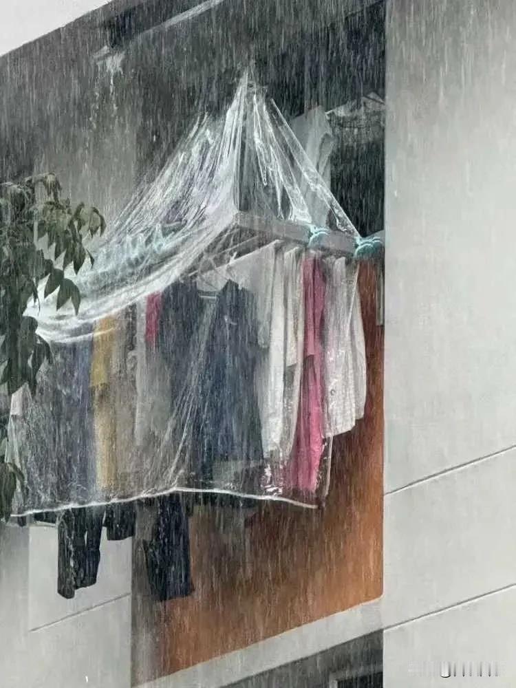 十元雨布撑起一个家！丈夫拒装防盗网，背后原因令人心酸

这是我们家的窗户，说是窗